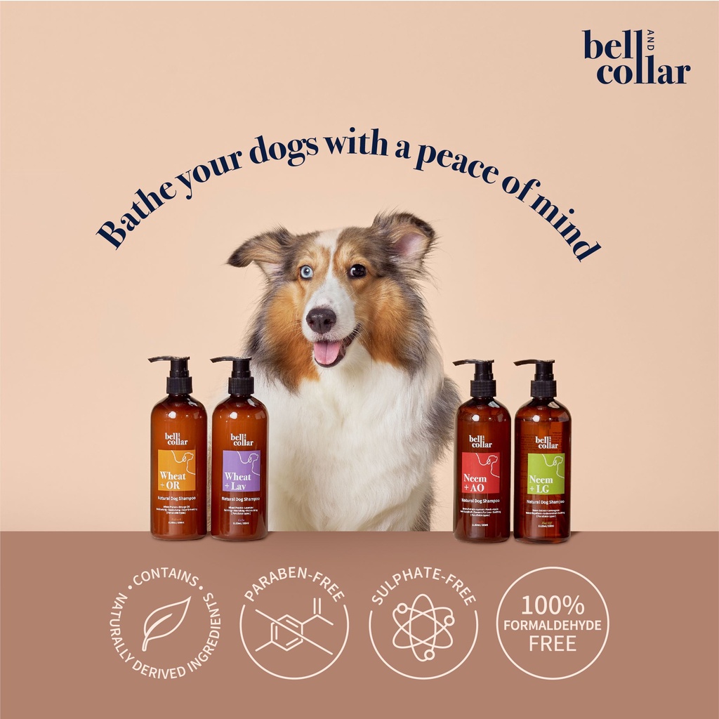 Natural Dog Shampoo anti-flea