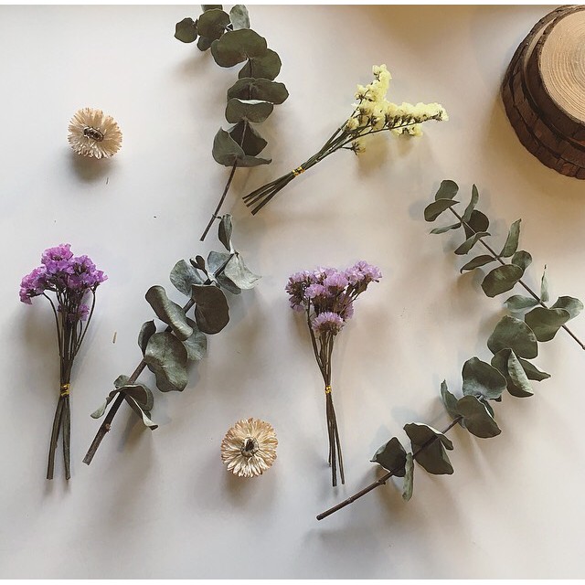 Mini Size Dried Flowers Don T Forget Me Eucalyptus Shopee Malaysia