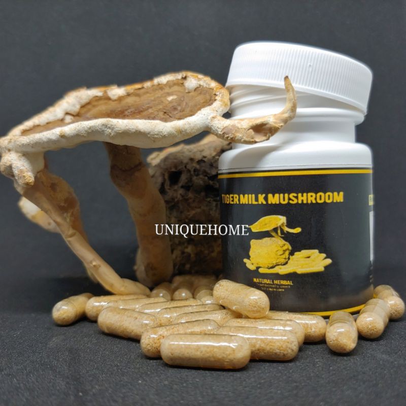 CENDAWAN SUSU HARIMAU 100 ASLI / 50 kapsul (Lignosus rhinocerus