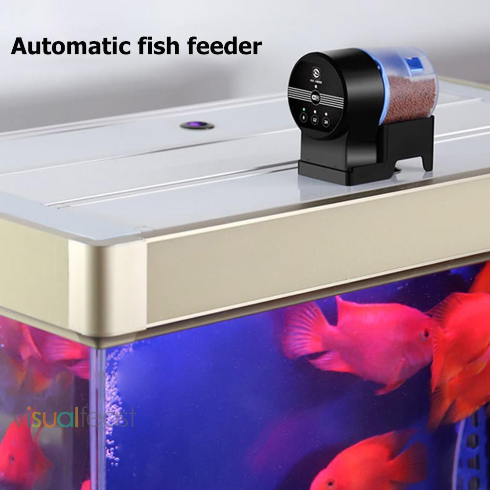 fish feeder aquarium