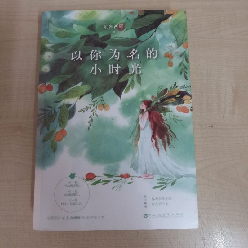 以你为名的小时光 言情小说 爱情小说 二手小说 作者东奔西顾