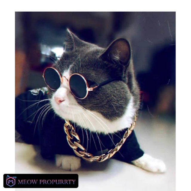 Raya Ready Stock Malaysia Spec Cermin Mata Kucing Accessories Gaya Comel Cute Pet Cat Sunglasess 8cm 11cm Meow Propurrty Shopee Malaysia