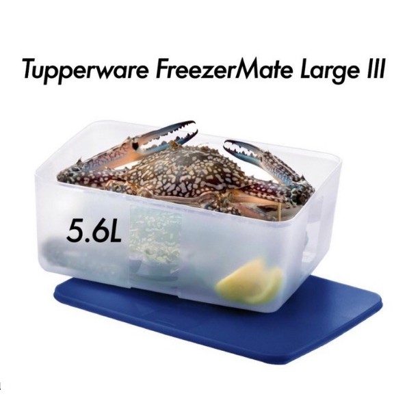 Tupperware FreezerMate Large III (1) 5.6L