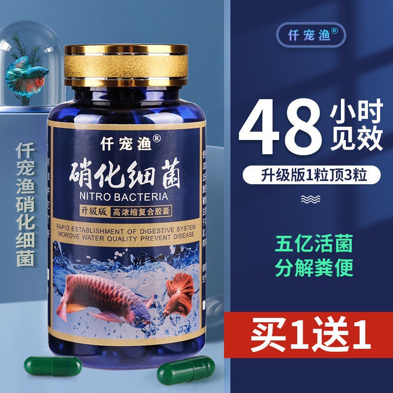 Water purification fish tank nitrifying bacteria water purifier clarification clear water sterilization digestive bacteria capsules fish farming supplies 水质净化鱼缸硝化细菌净水剂澄清清澈清水杀菌消化菌胶囊养鱼用品-❤️家门口的水族超市❤️