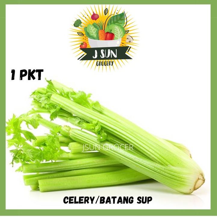 Celery in malay