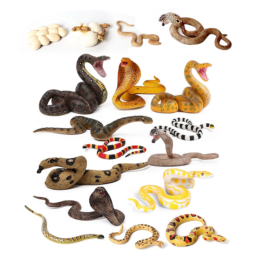 Realistic Wilde Life Snake Figurines Playset,Rattlesnake Cobra Growth Cycle Model Miniature Educational Toys Figures for