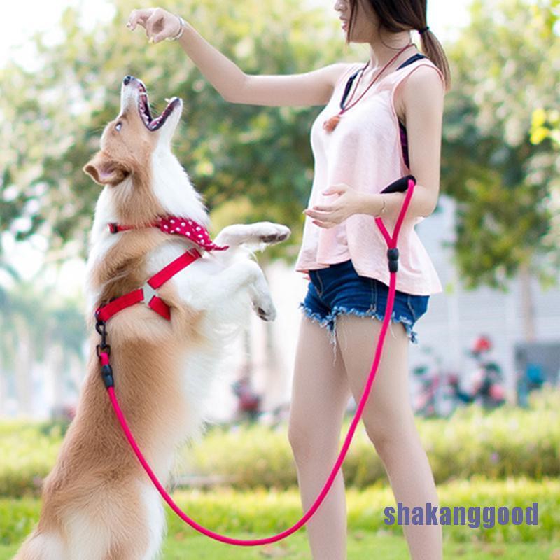 dog walking training collars