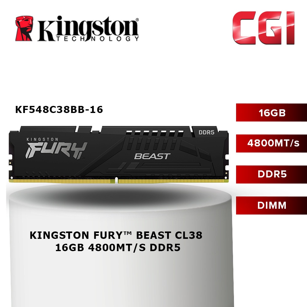 Kingston FURY Beast DDR5 16GB DDR5-4800 CL38 288-Pin DIMM - KF548C38BB ...