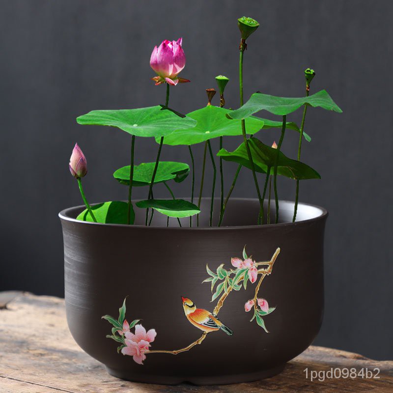 Flower Pot Lotus Basin 紫砂大号荷花缸莲花专用陶瓷水培铜钱草花盆无孔水养睡莲碗莲盆0