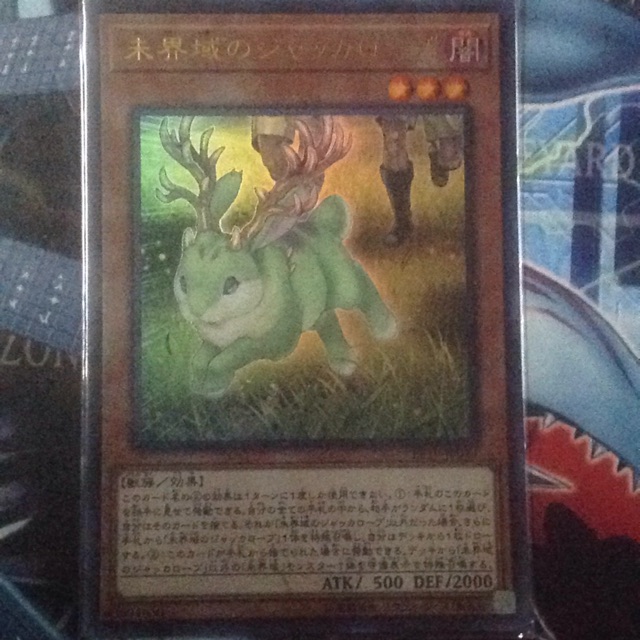 Yugioh Card 游戏王 Danger Jackalope Shopee Malaysia