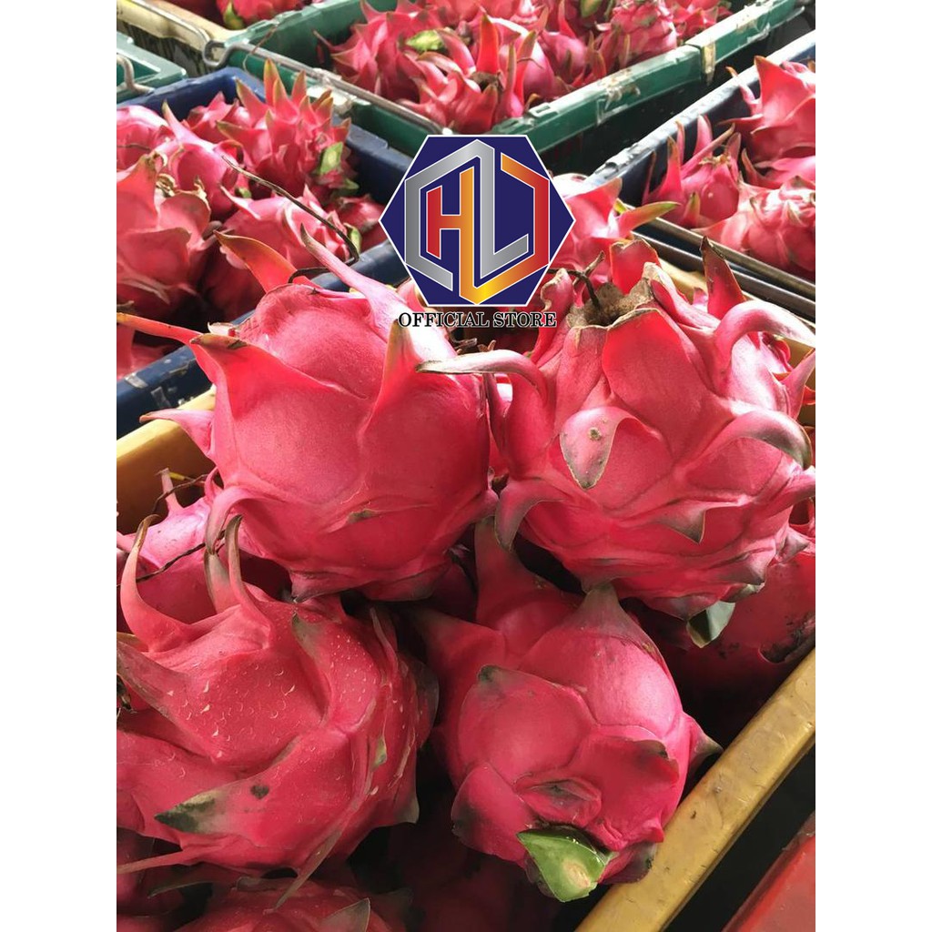 Pre Order Red Dragon Fruit Direct From Farm - 300g 400g 500g 600g++ 火龙果/BUAH NAGA MERAH