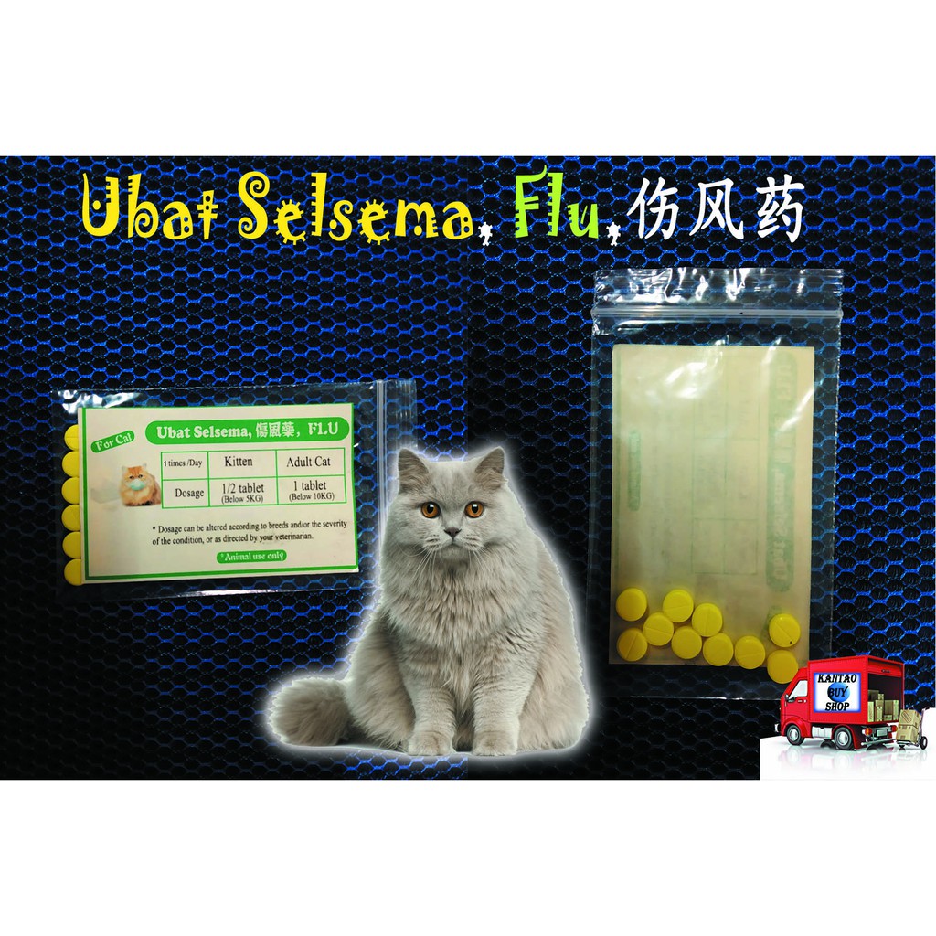 Ub@t Merawat Selsema dan Bersin Kucing (FLU Solution)