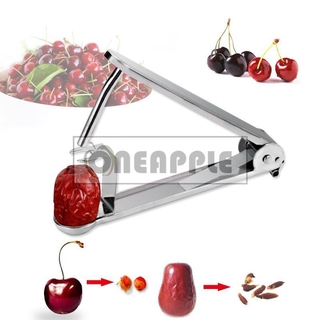 Stainless Steel Jujube Fruit Seed Remover Kitchen Tools 红枣核去心神器 Shopee Malaysia