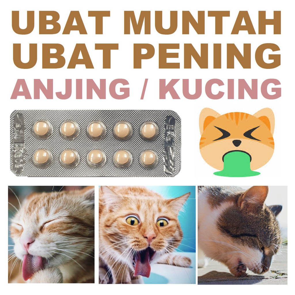 100 Tablets Ubat Muntah Kucing Anjing Ubat Pening Kucing Anjing Ubat Muntah Pening Shopee Malaysia