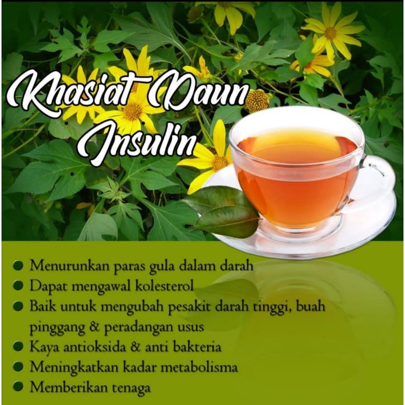 Teh Daun Insulin/Herba Penawar Kencing Manis/Mininum pembelian 10 uncang