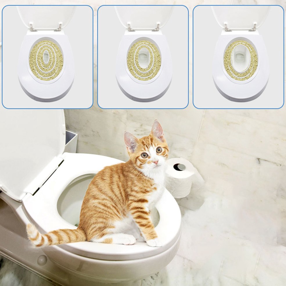 Should i train my cat outlet to use the toilet