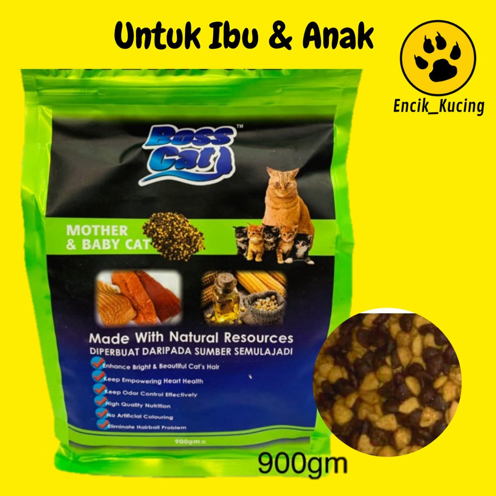 Anak Kucing Food Makanan Untuk Dry