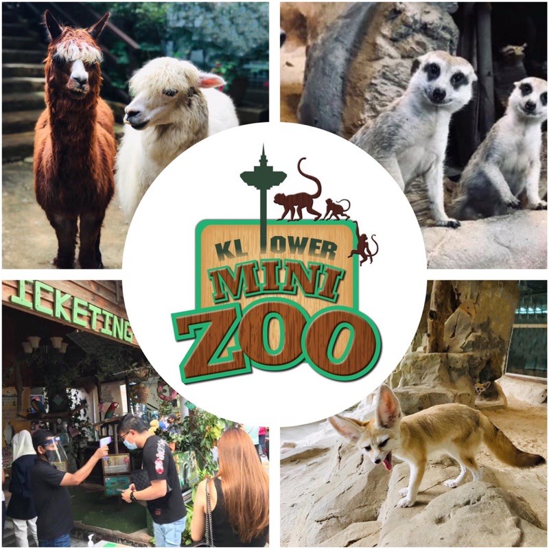 KL TOWER MINI ZOO attraction ticket and vouchers | Shopee Malaysia