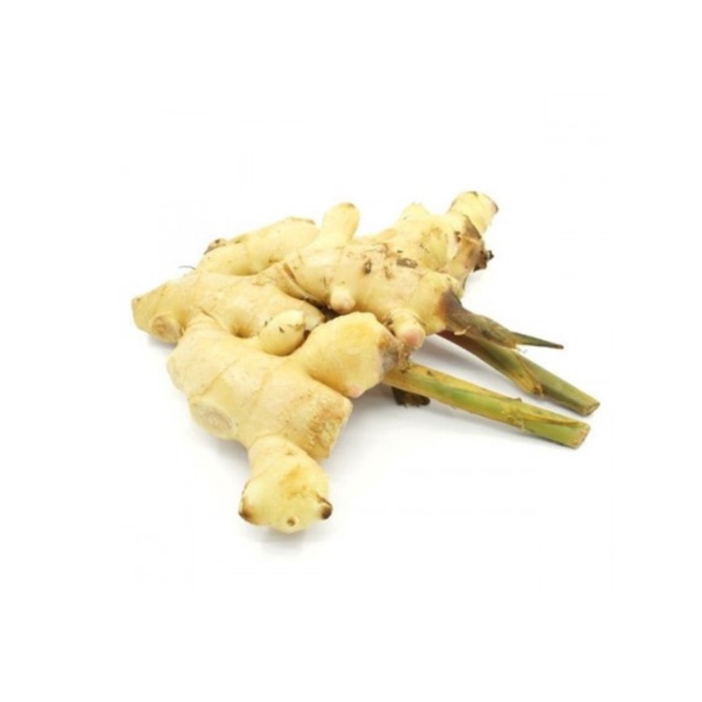 Young Ginger 500g (sold per pack)