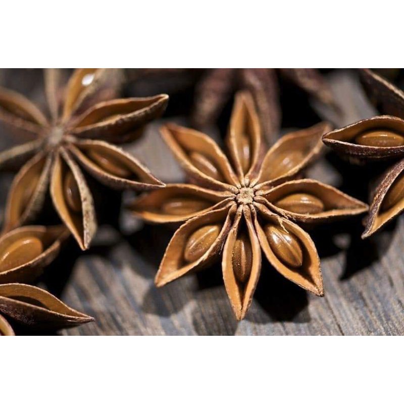 Buy Anak Pokok Bunga Lawang Star Anise Sila Pm Sebelum Order Seetracker Malaysia