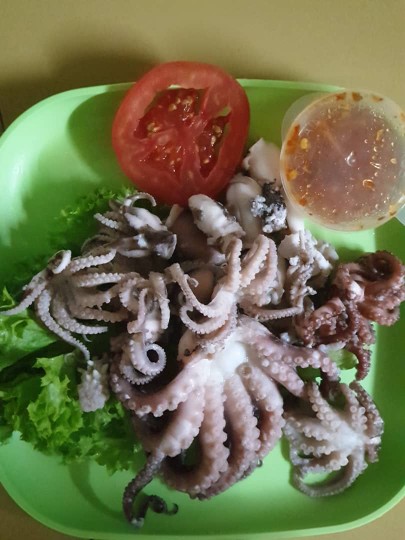 Sotong Kurita Octopus Fresh 500gram Shopee Malaysia