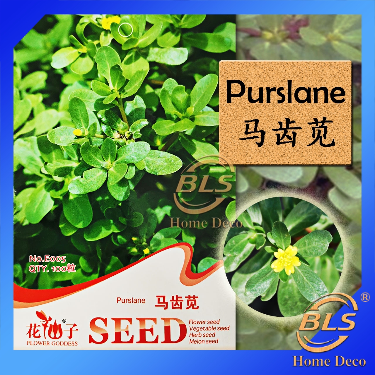 E005 Purslane Flower Goddess Vegetable Flower Fruit Herb Seed Shopee Malaysia