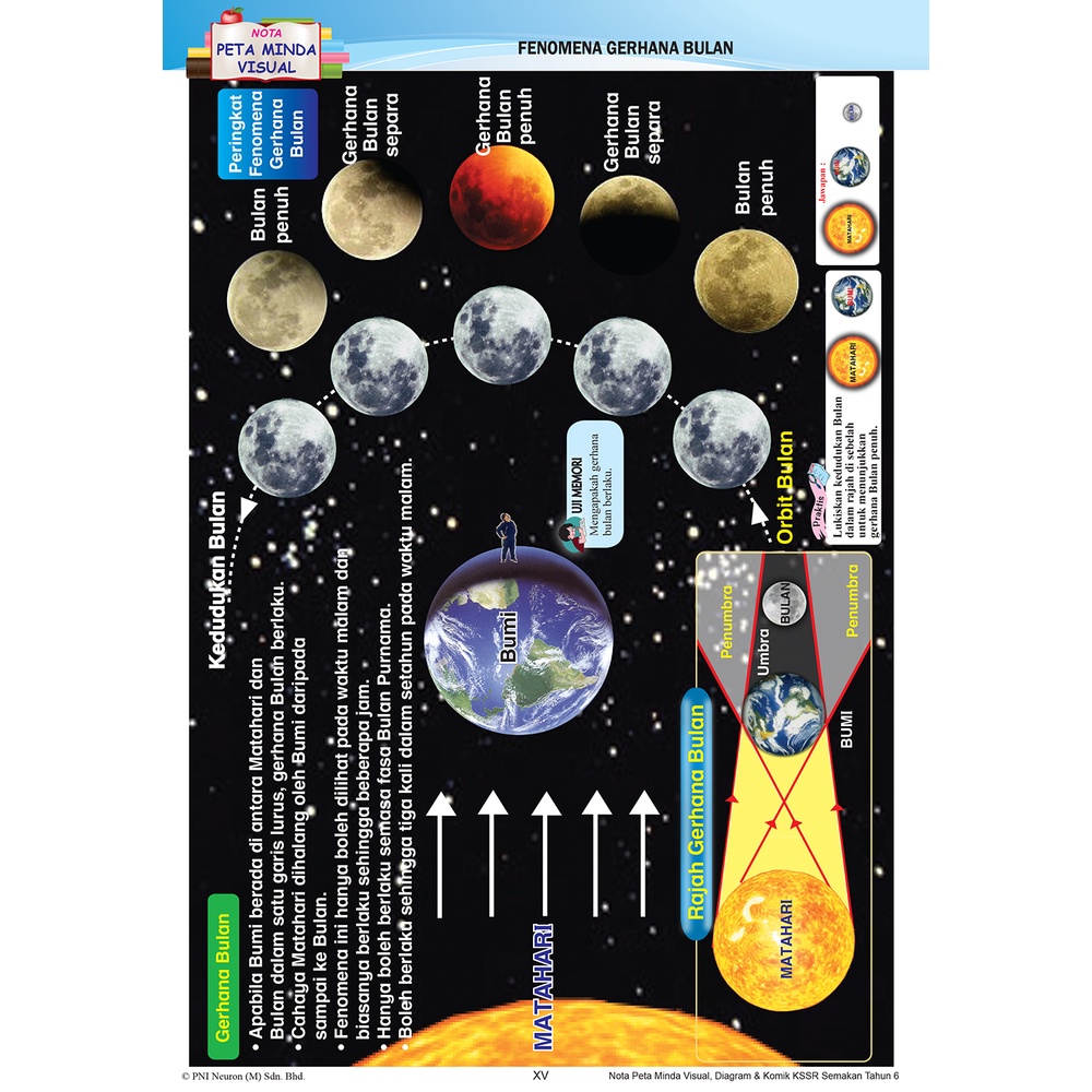 Buy (SILIBUS 2022) ACE Praktis KSSR Semakan Sains Tahun 6  SeeTracker