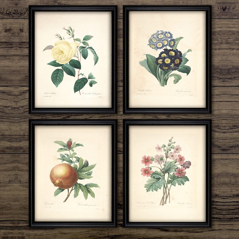 Classic Retro Botanical Canvas Painting Vintage Ancient Botany Flower Fruits Posters Prints Wall Art Picture Room Decor