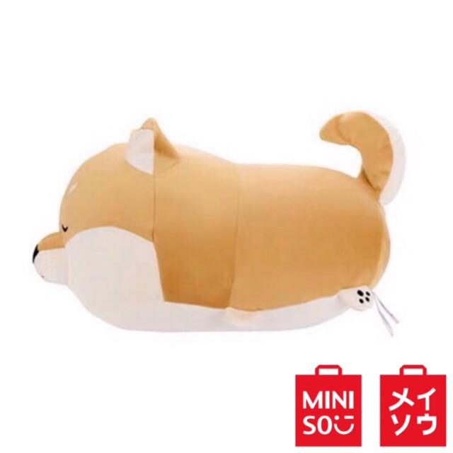 miniso shiba