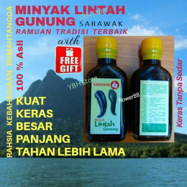 Ready Stock Minyak Lintah Gunung Sarawak Original Kemut Urut Untuk Tahan Lama Shopee Malaysia