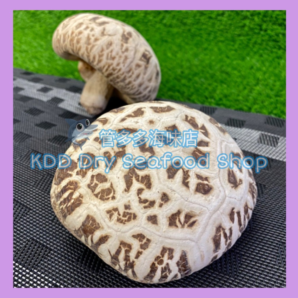 10cm 12cm 1piece Only Premium Shittake Dried Mushroom Xxxl 特巨大白花菇 1 粒 Shopee Malaysia