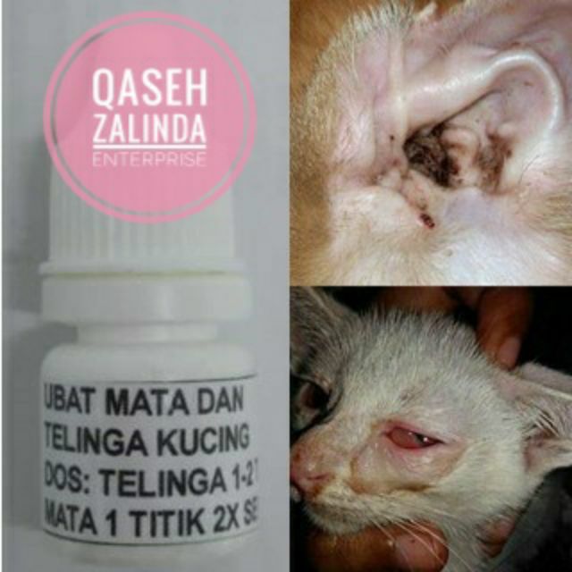 Ubat Sakit Mata Dan Telinga Titis Untuk Kucing/Anjing 