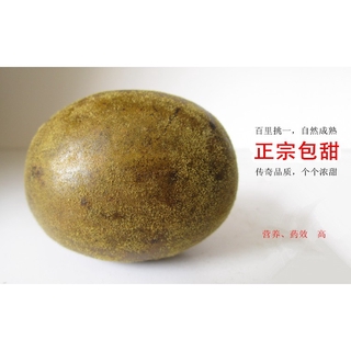 Golden Monk Fruit 金汉果黄金罗汉果罗汉果化痰止咳 Shopee Malaysia