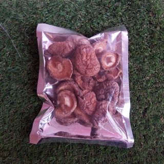 Cendawan Kering Dried Mushroom é¦™è‡ Ready Stock Shopee Malaysia
