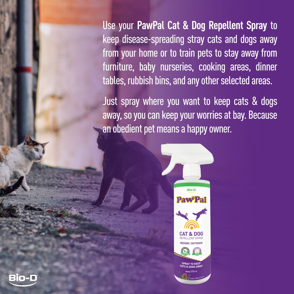 dog stay away spray