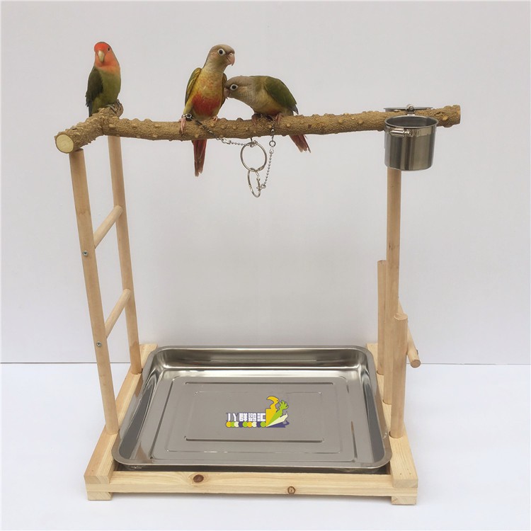 parrot stand