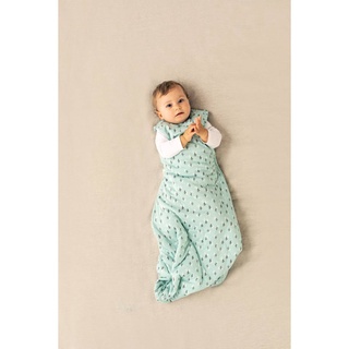 0.2 tog tommee tippee