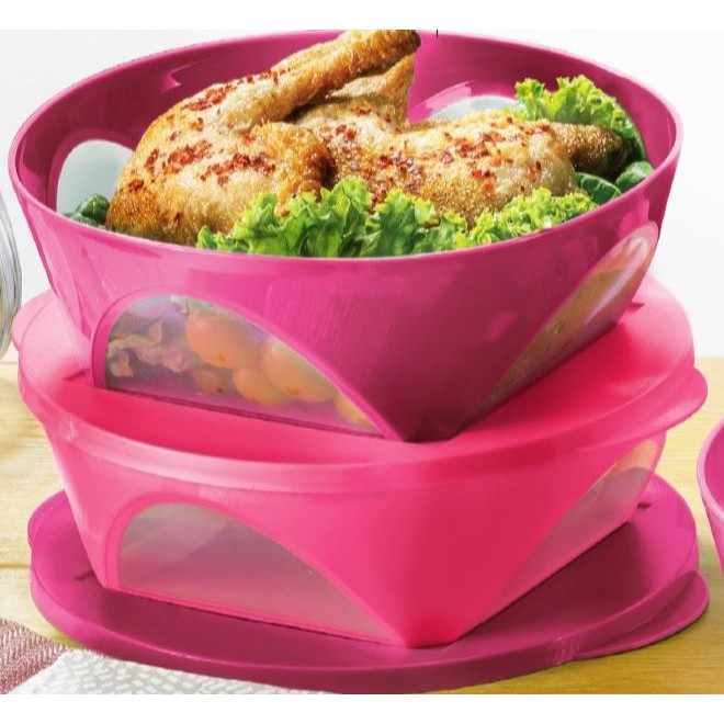 Tupperware Outdoor Dining Bowl 2.5L (2pcs)