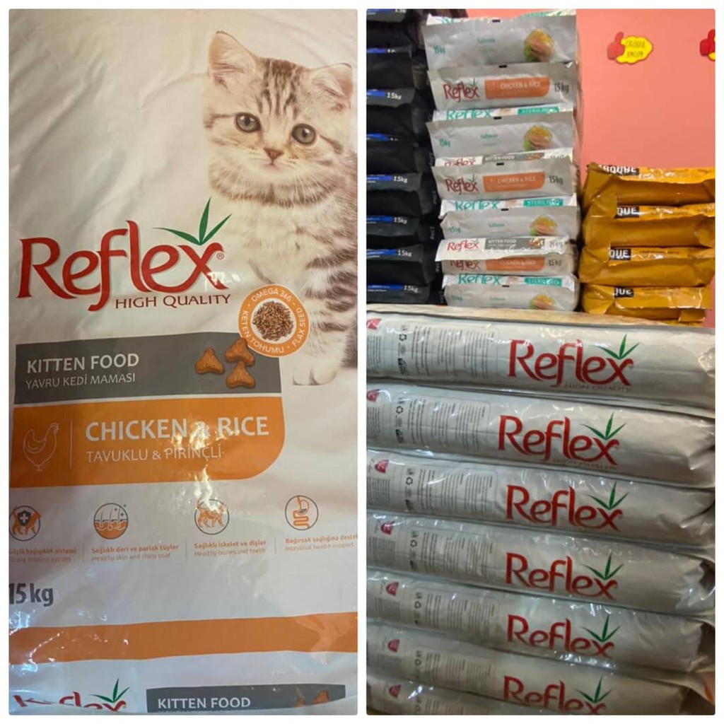 reflex kitten - Prices and Promotions - Nov 2021  Shopee Malaysia