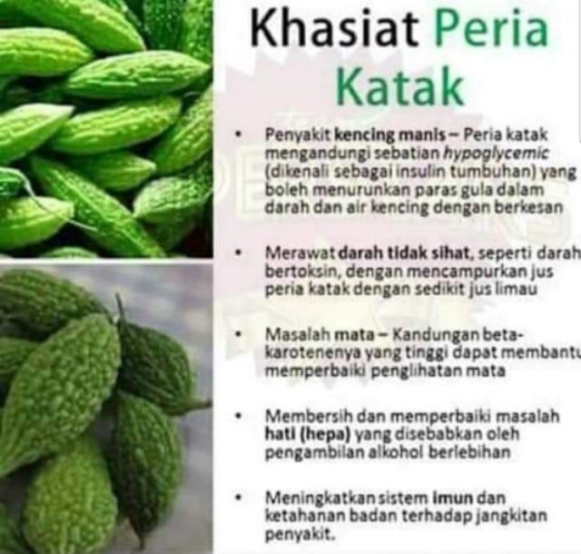 Kapsul Peria Katak Kawal Gula Darah Shopee Malaysia