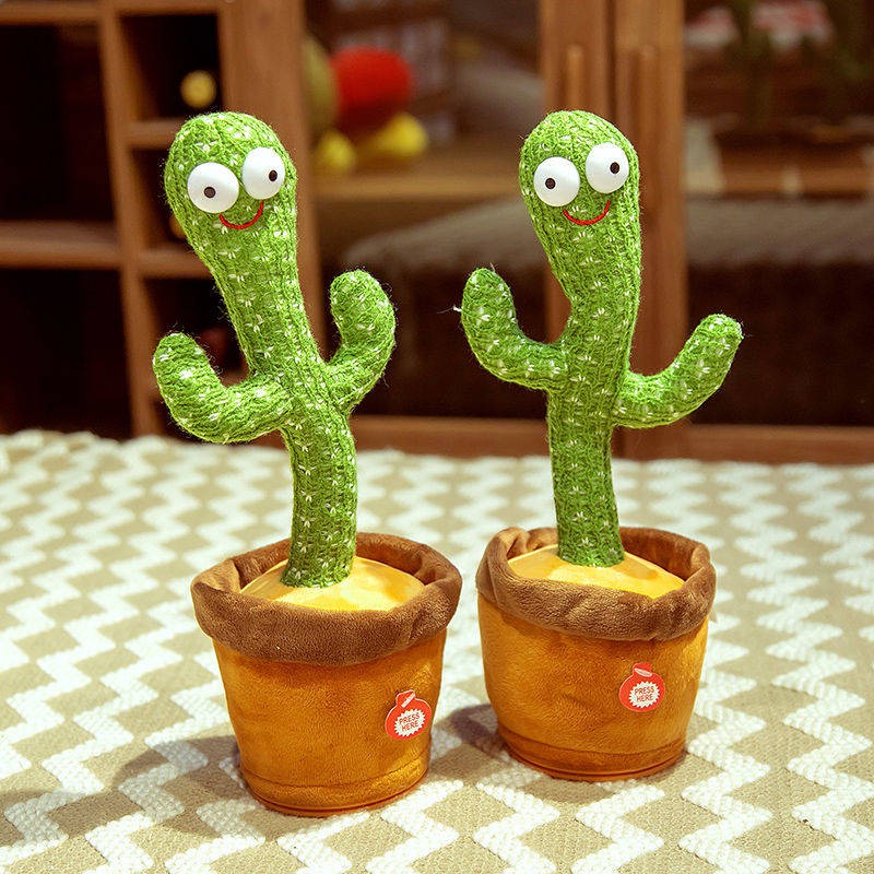 Kaktus bercakap