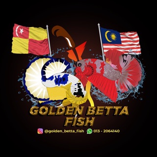 Flare Ready Stok Untuk Betta Fish Grooming Shopee Malaysia