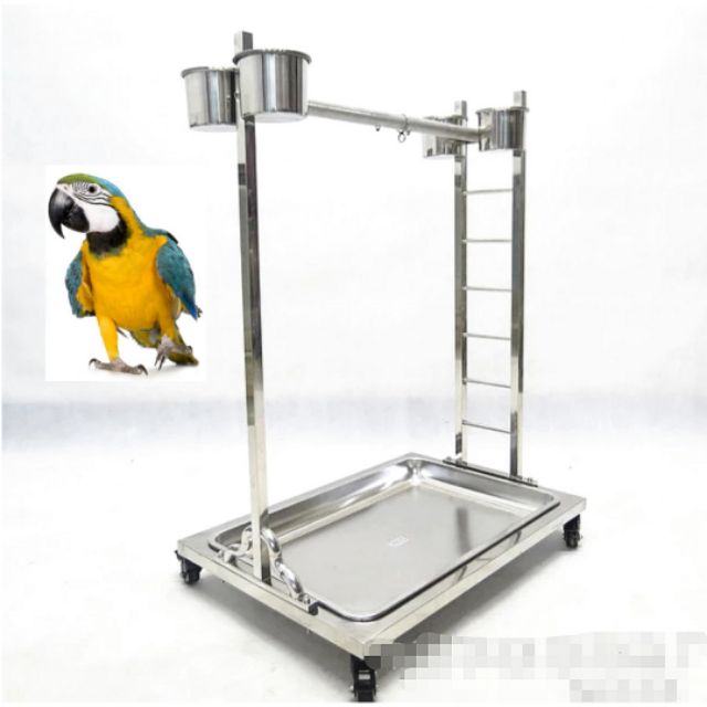 macaw stand