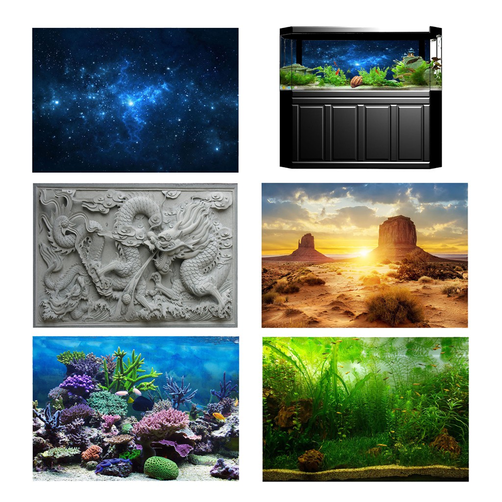 Kloware1cdMY❤] Vivid Aquarium Background, Adhesive Poster Fish Tank Wall  Decor Sticker | Shopee Malaysia