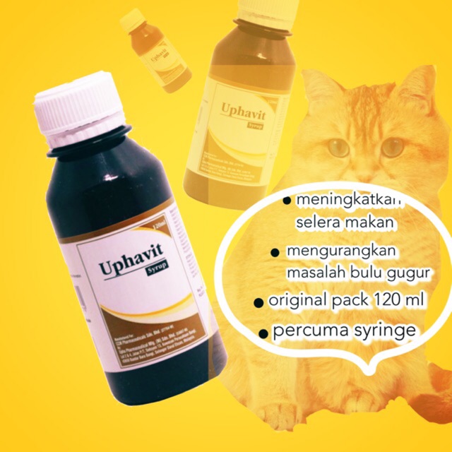 vitamin untuk bulu kucing