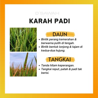 Racun Karah Padi Filia Syngenta Racun Kulat / Fungicide | Shopee Malaysia