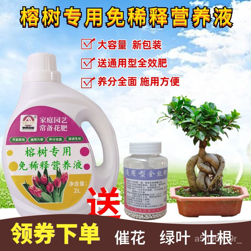 Plant Nutrient Solution 榕树专用营养液室内客厅阳台盆景栽绿植物金钱人参榕免稀释花肥料 Shopee Malaysia