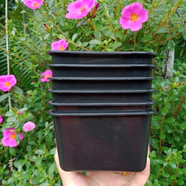 Hot Sell Hanging Pot Plastic Pasu Gantung Plastik 6in1 10x8 Shopee Malaysia