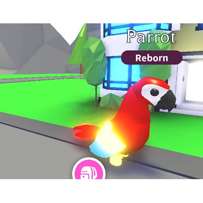 Adopt Me Legendary Neon Fly Ride Parrot Nfr Shopee Malaysia - roblox adopt me parrot