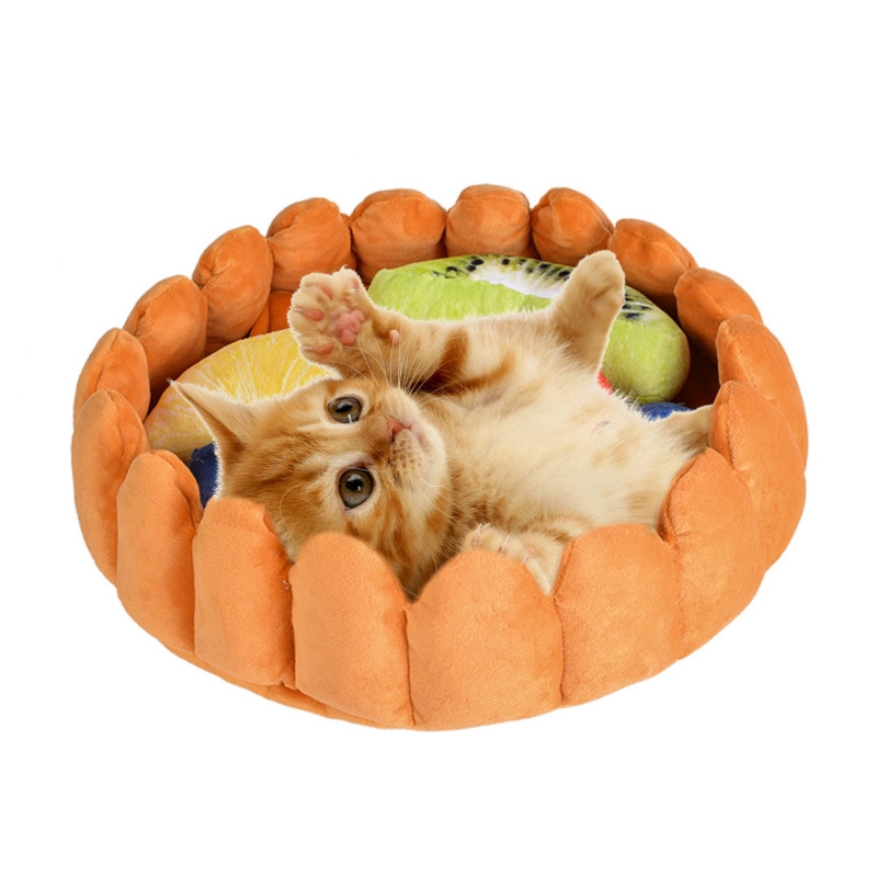 cat bed tart